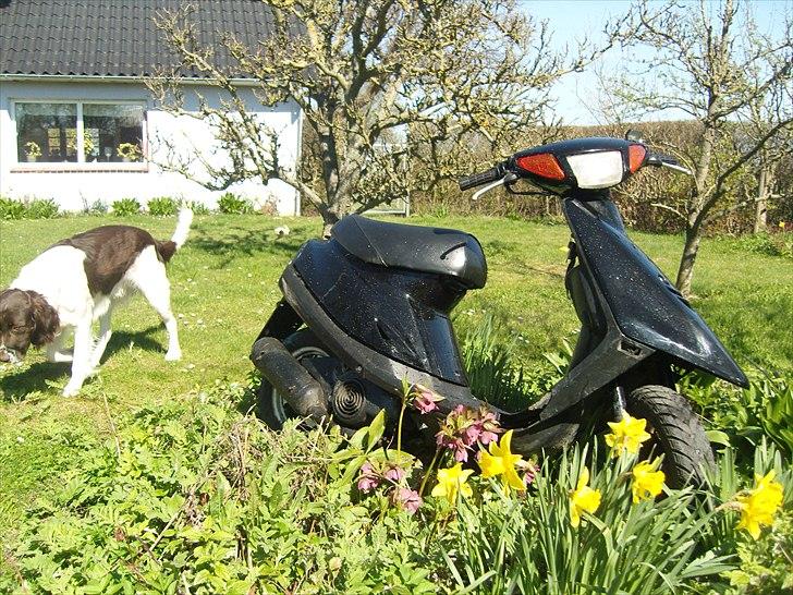 Yamaha Jog As "SOLGT" billede 2