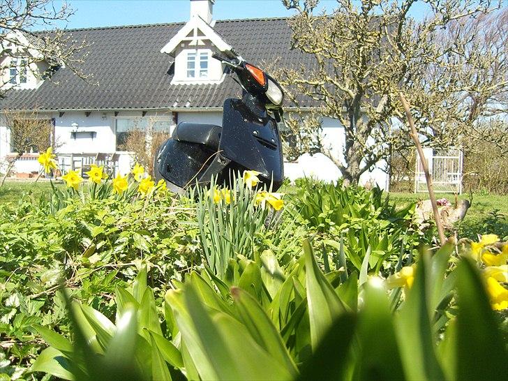 Yamaha Jog As "SOLGT" billede 4