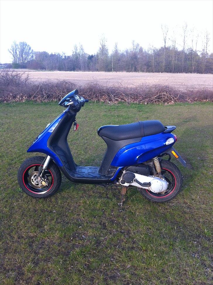 Piaggio typhoon billede 1