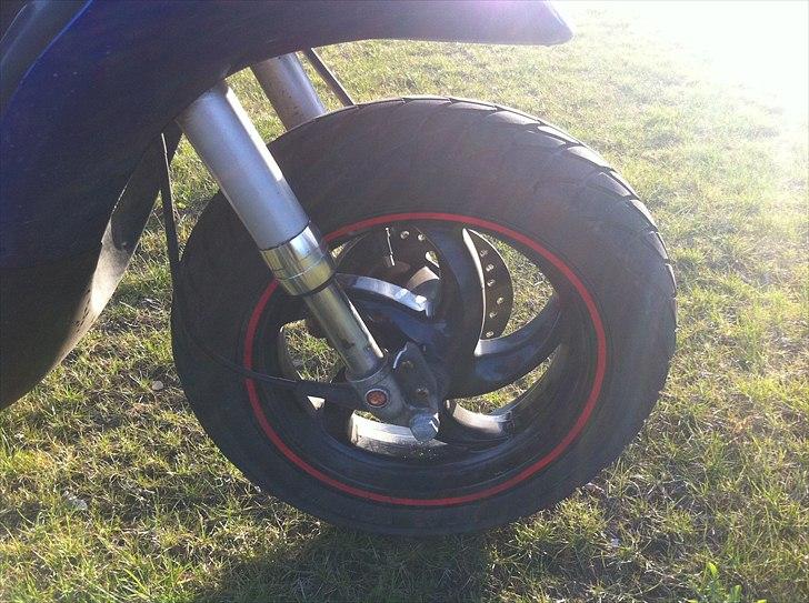 Piaggio typhoon billede 7