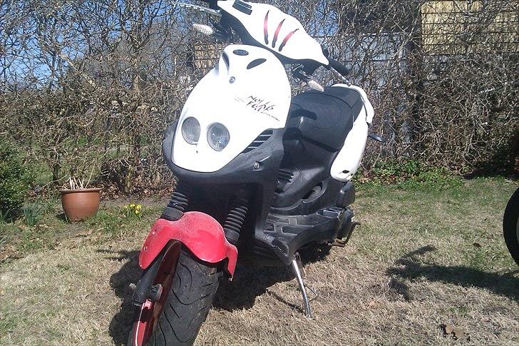 PGO pmx no fear billede 1