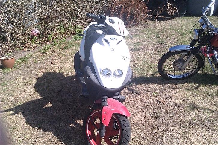 PGO pmx no fear billede 5