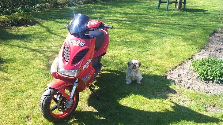 Aprilia sr 50 lc dd SOLGT billede 1