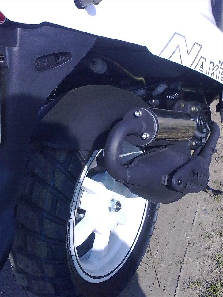 PGO Hot 50 Naked billede 10