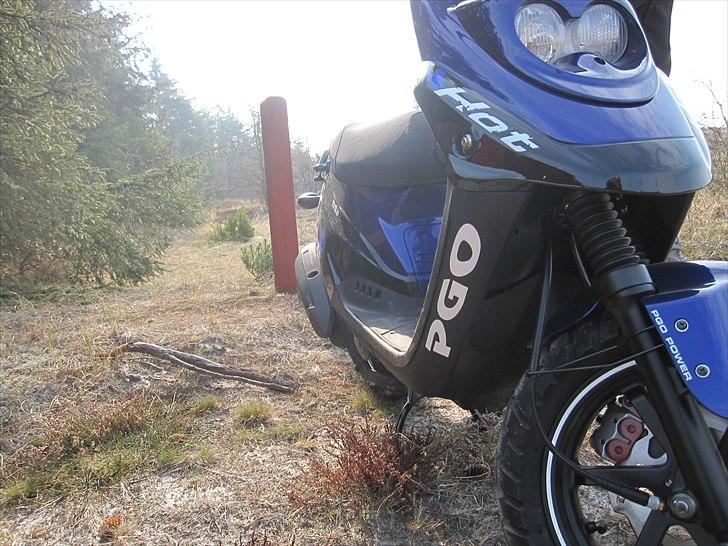 PGO Hot 50 Sp 12 " billede 4