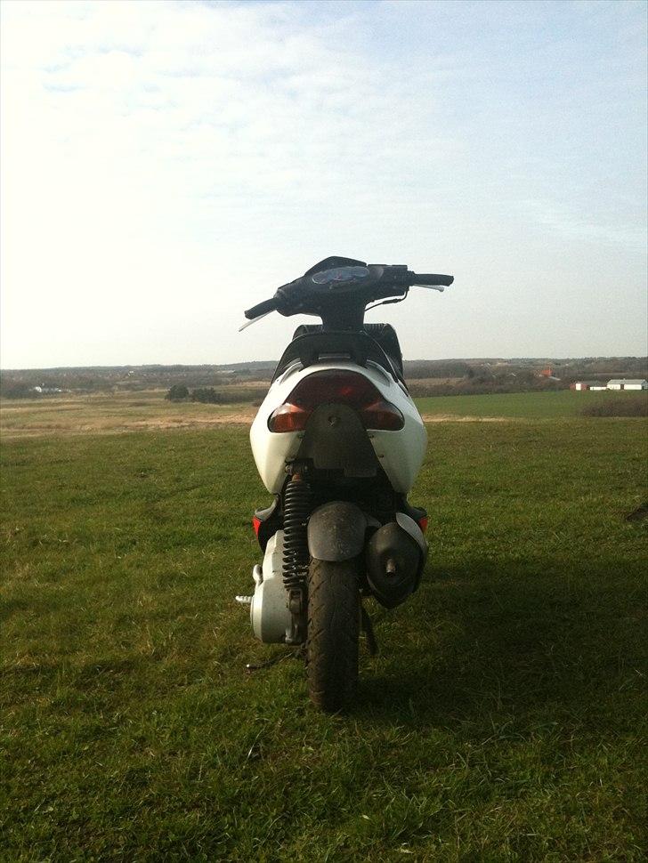 Aprilia sonic billede 5