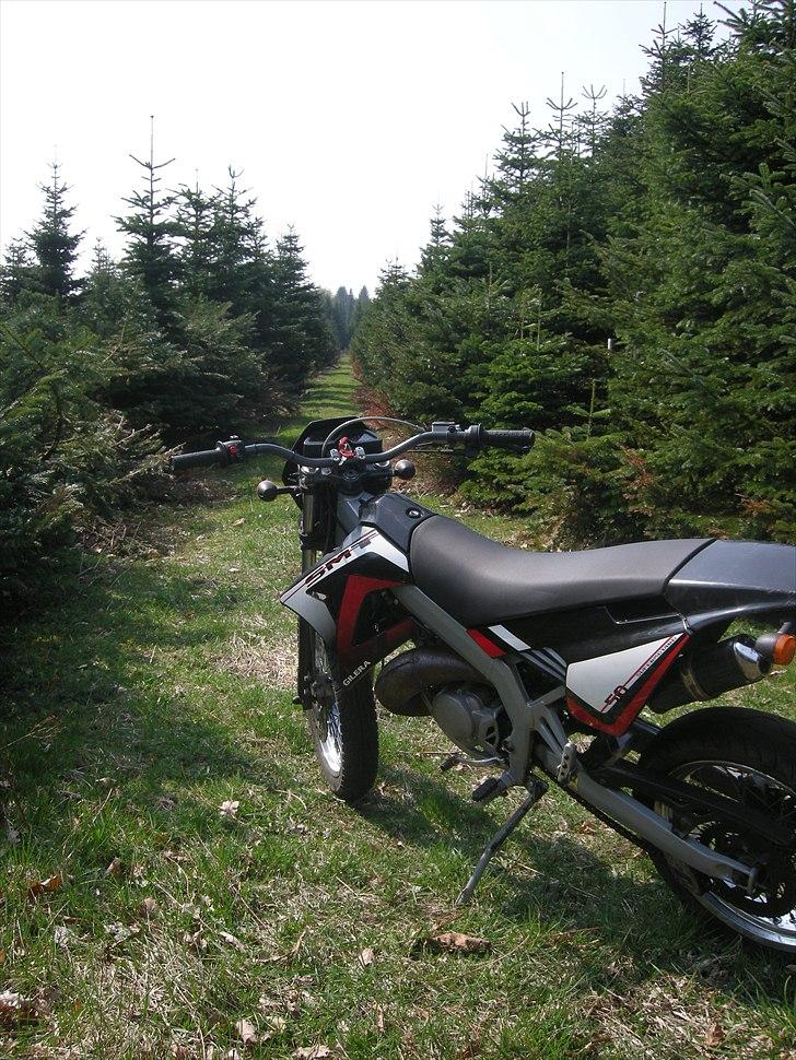 Gilera Smt billede 16