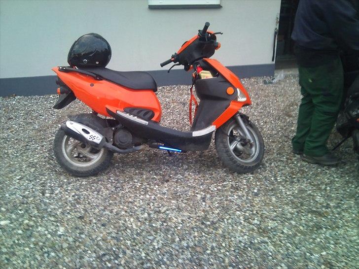 PGO Big grisen billede 2