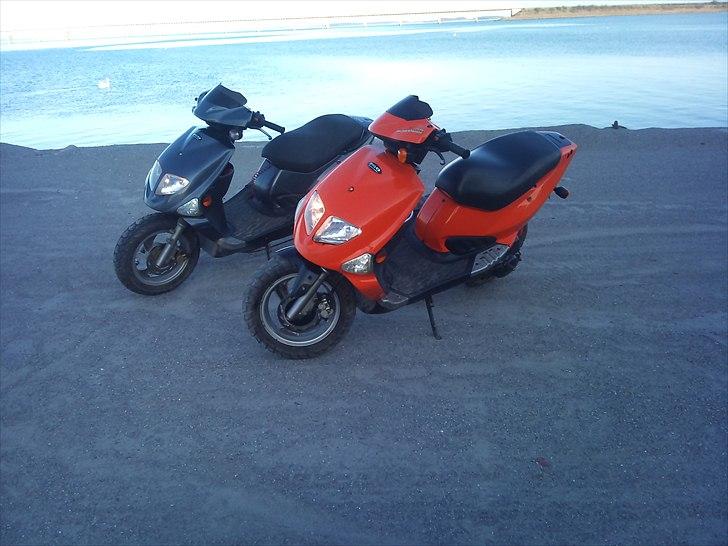 PGO Big grisen billede 4