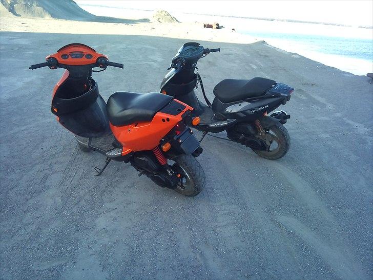 PGO Big grisen billede 5