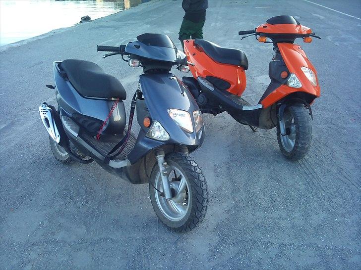 PGO Big grisen billede 6