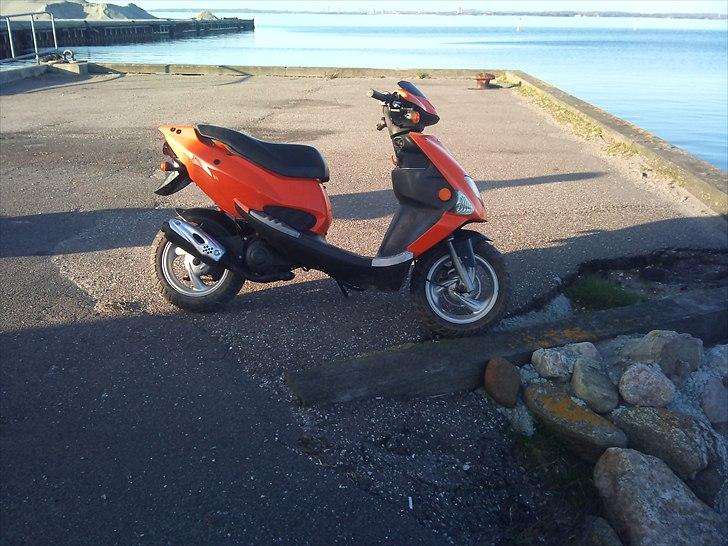 PGO Big grisen billede 7