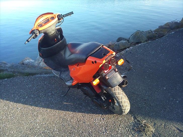 PGO Big grisen billede 8