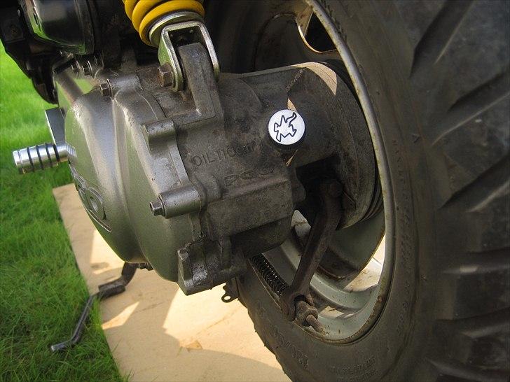 PGO Hot 50 billede 12