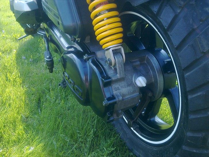 PGO Pmx Naked Carbon billede 6