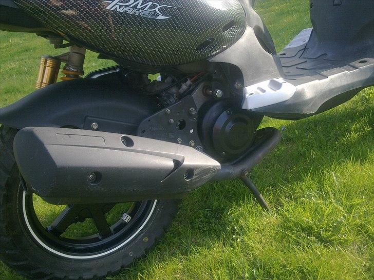 PGO Pmx Naked Carbon billede 7