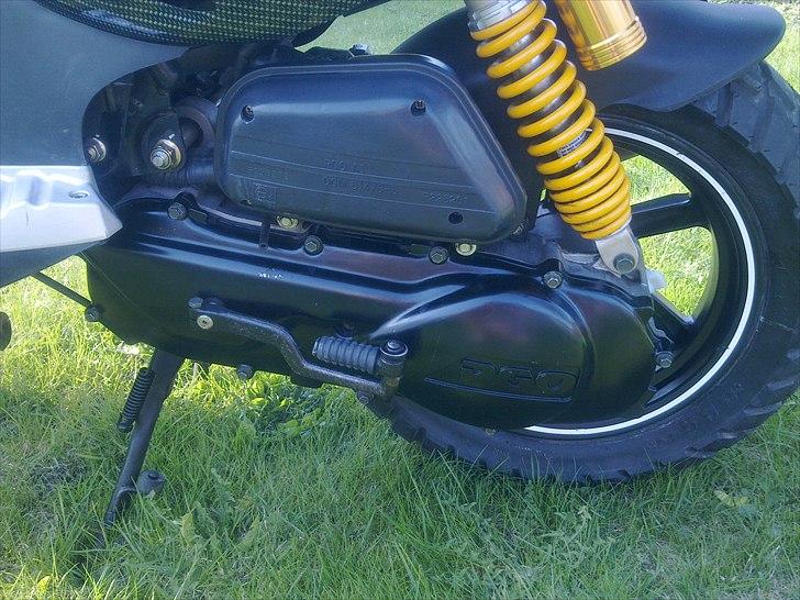 PGO Pmx Naked Carbon billede 14