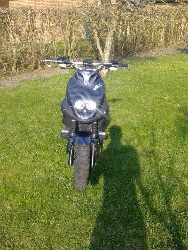 PGO Pmx Naked Carbon billede 17