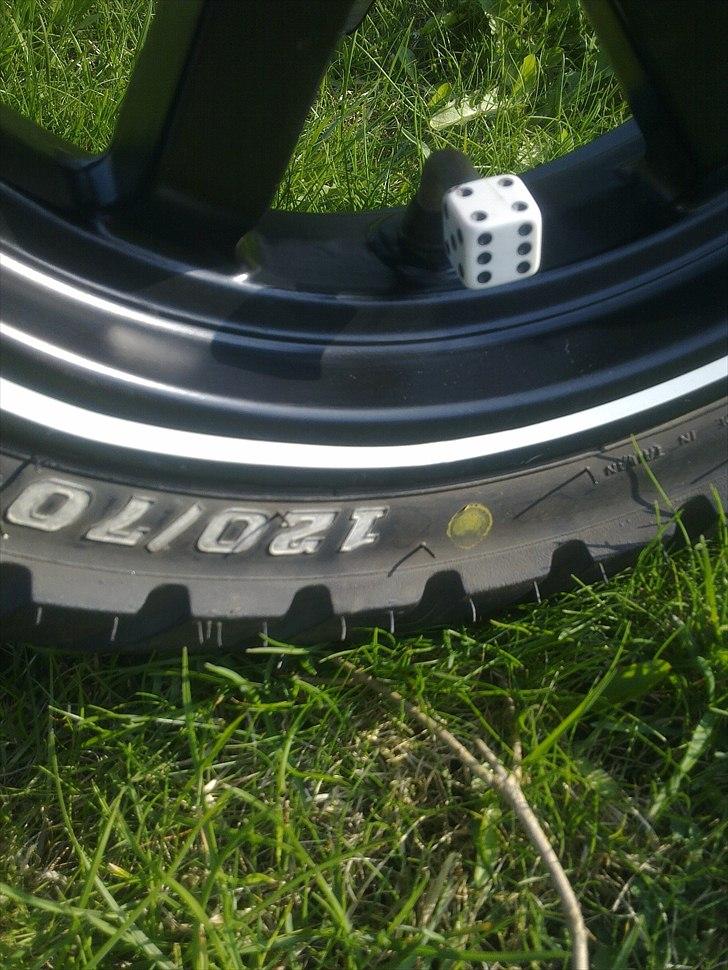 PGO Pmx Naked Carbon billede 18