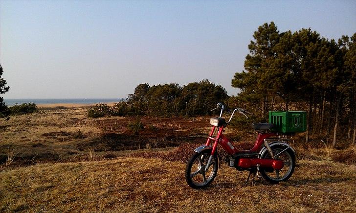 Vespa Bravo - Læsø-fræseren  billede 5