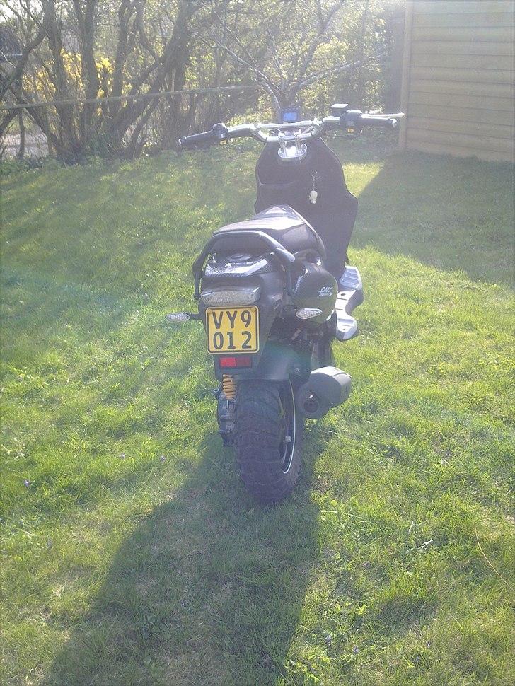 PGO Pmx Naked Carbon billede 19