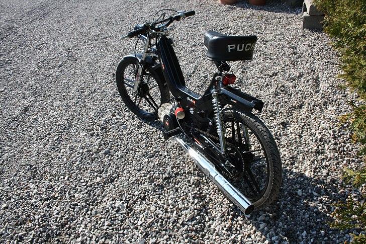 Puch Maxi P1   " sonic" billede 6