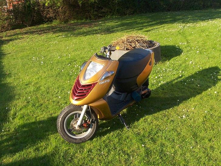 Aprilia Sonic billede 10