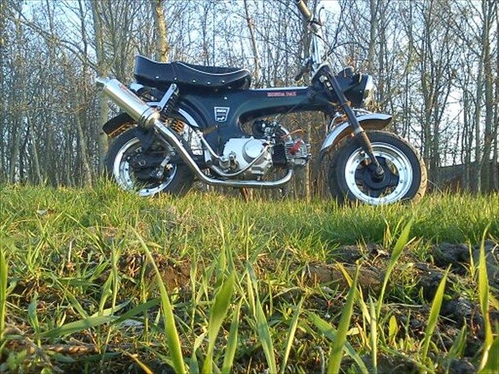 Honda Dax. Den gamle. taget a spasserne billede 13