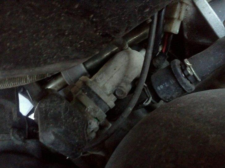 PGO pmx sport billede 5