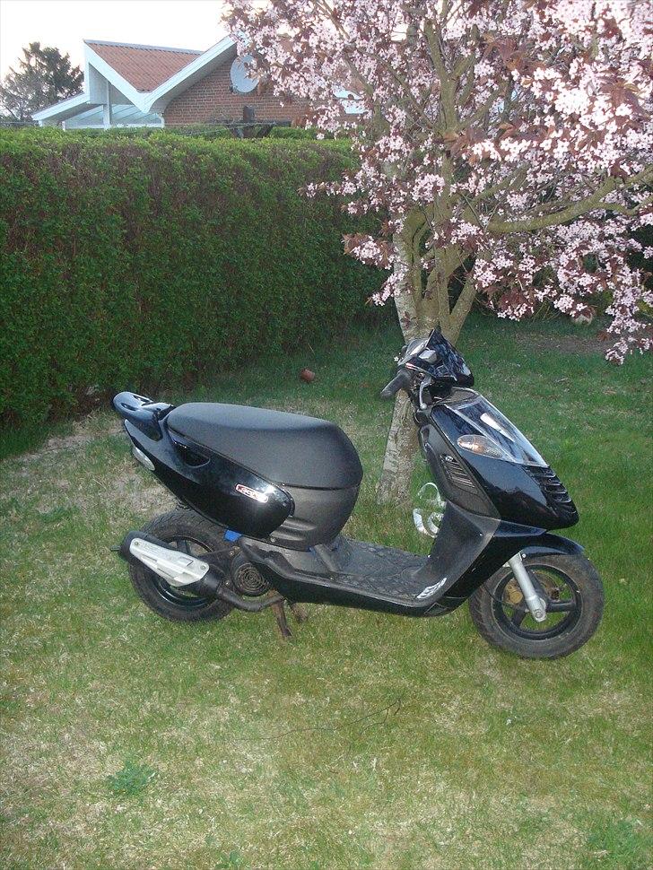 Aprilia Sonic billede 14