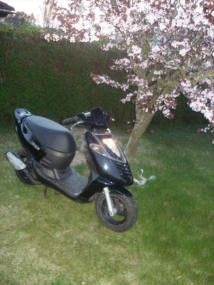Aprilia Sonic billede 19