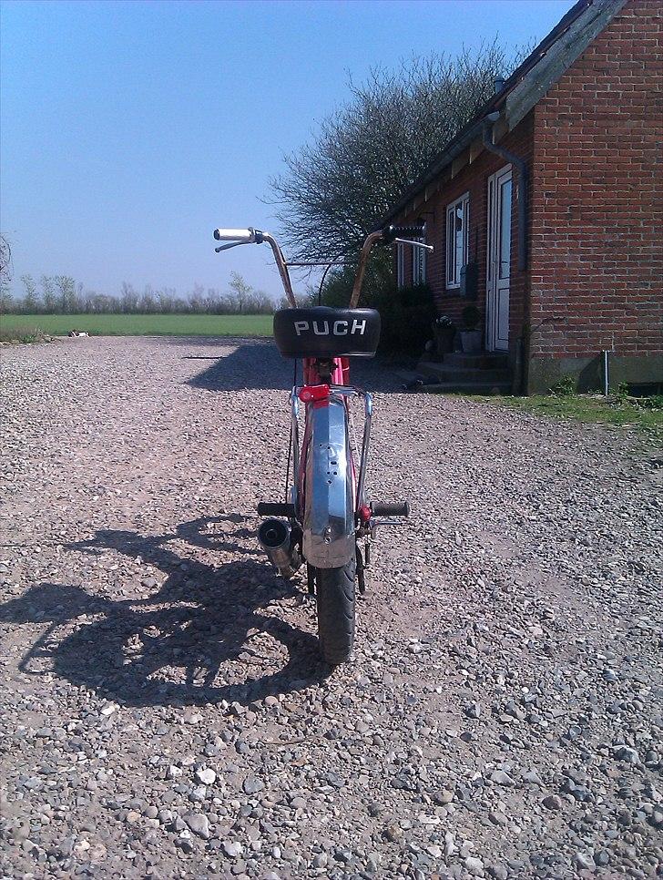 Puch Maxi K  billede 4