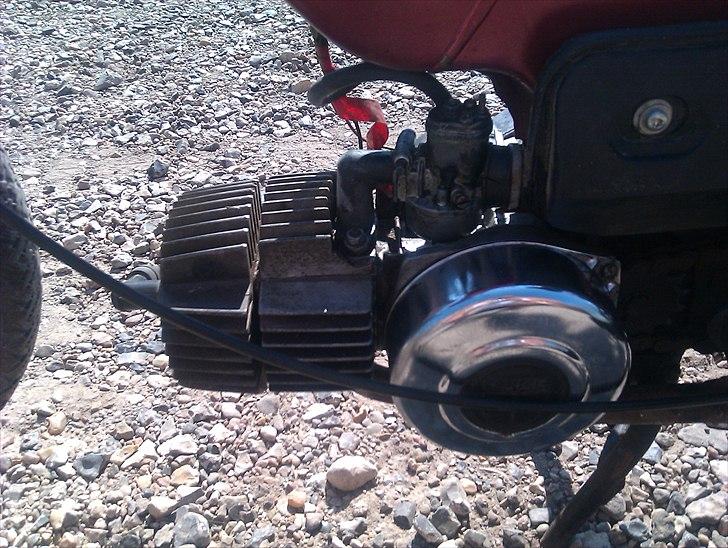 Puch Maxi K  billede 6