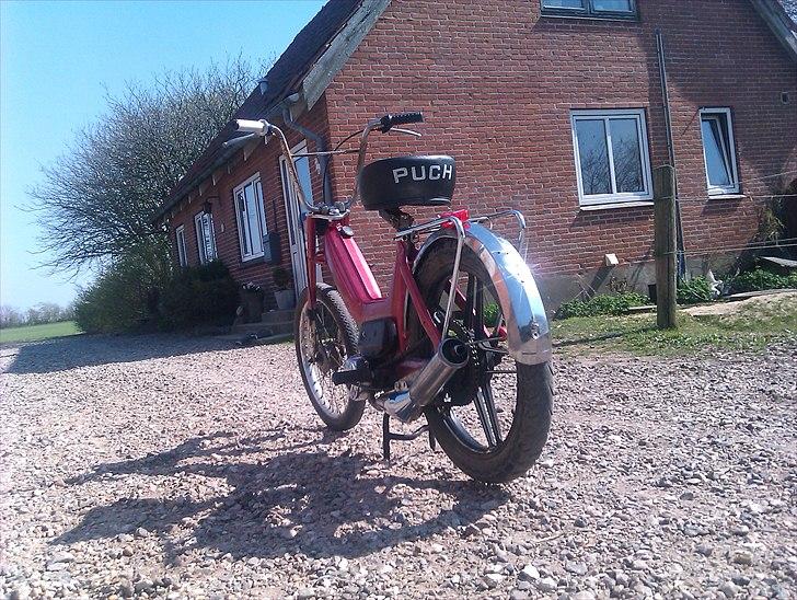 Puch Maxi K  billede 10