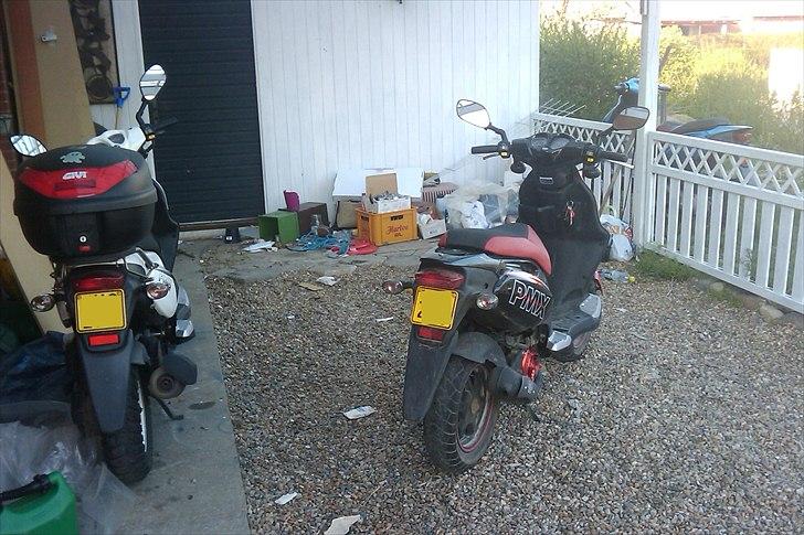 PGO Pmx Sport billede 10