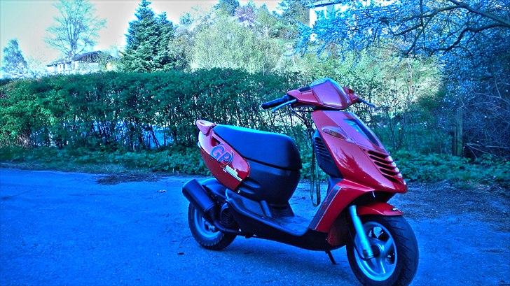 Aprilia Sonic GP // Solgt billede 6