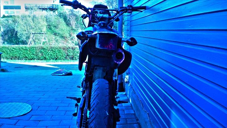 Apollo Orion   E30  billede 7