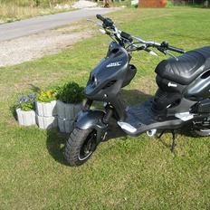 PGO PMX NAKED