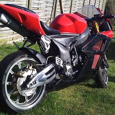 Skyteam Phoenix Byttet til Tzr