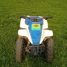 Suzuki atv LT 80