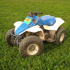 Suzuki atv LT 80
