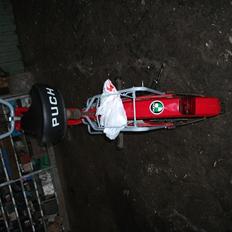 Puch maxi k