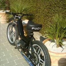 Puch maxi