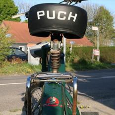 Puch maxi P E50