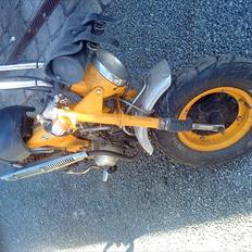 Honda Dax *Original*