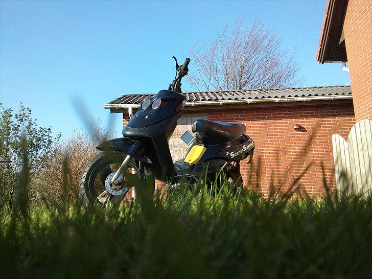 Adly Cat 50 billede 1