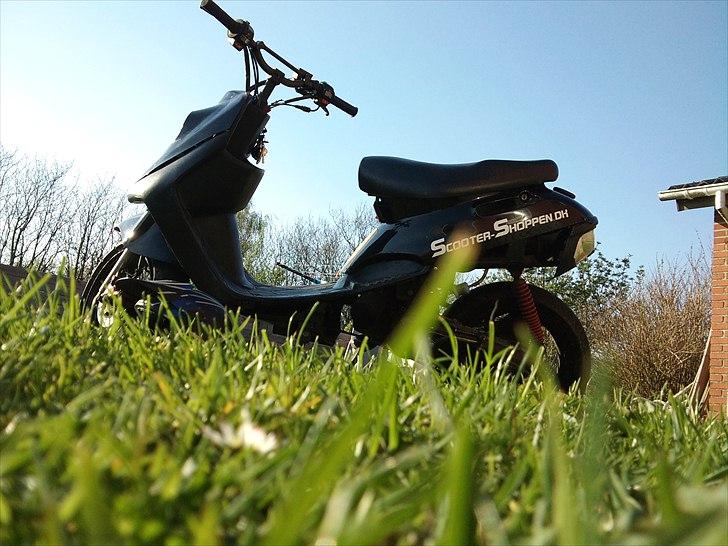 Adly Cat 50 billede 3