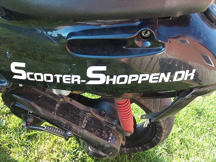 Adly Cat 50 billede 4