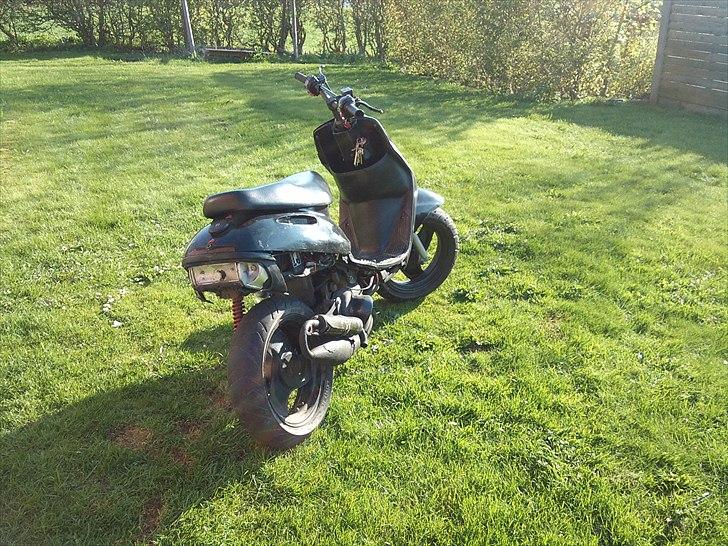 Adly Cat 50 billede 6