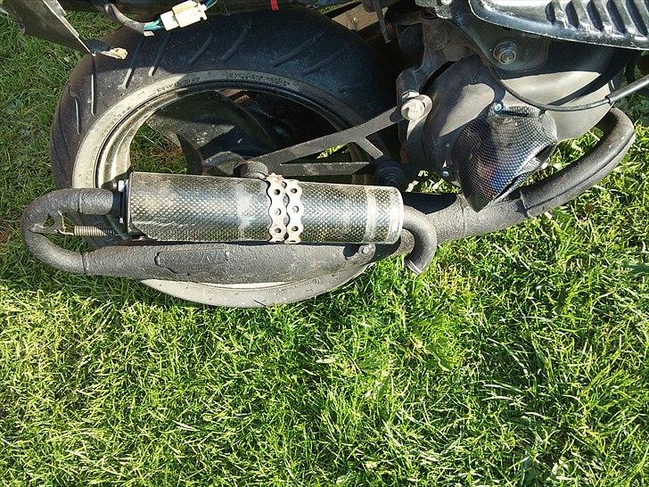 Adly Cat 50 billede 7